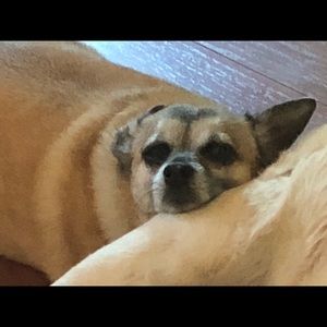 Meet your Posher, Brooke